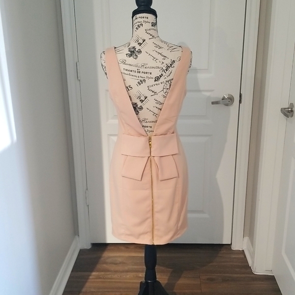 Blush Pink Sleeveless Dress Full Zipper Size Medium - Picture 2 of 6